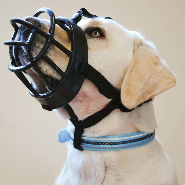 Baskerville ultra dog muzzle