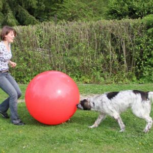 Dog and owner playing treibball
