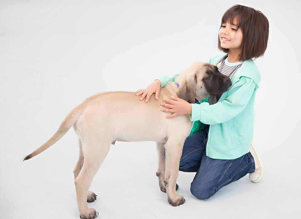 Young girl hugging a dog